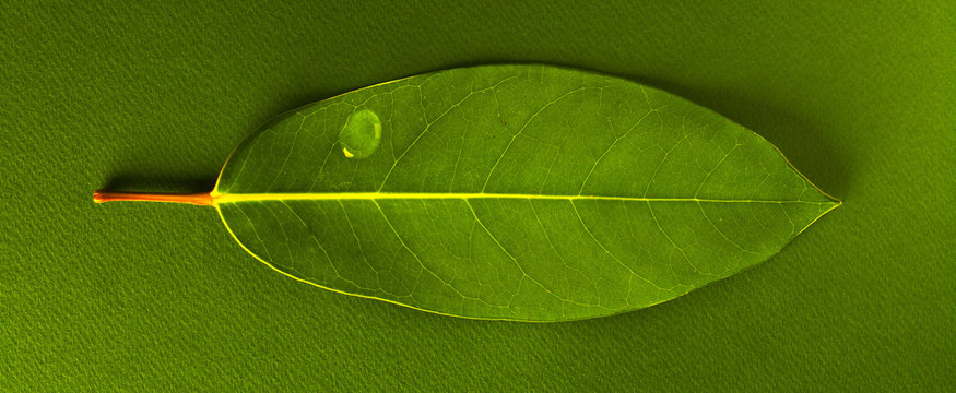 Günes Bilder Durchsuchen 42 Archivfotos, und Videos