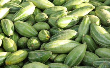 Fresh pointed gourds