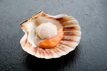 raw scallop on black stone background- cappasanta