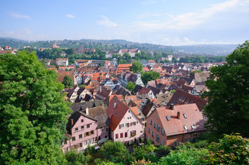 Fototapeta na wymiar Tübingen, Germany