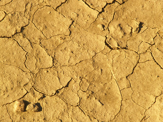 Dried up mud