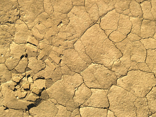 Footprint in dry mud
