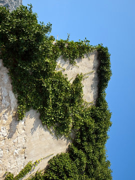 Part of old house