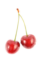Cherry