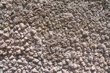 Brickwall background.