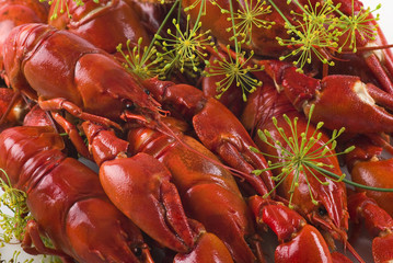 Crayfish
