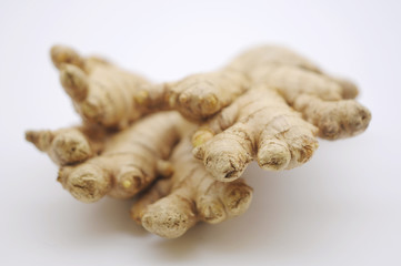 Ginger root on white background