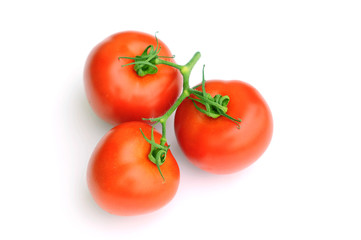 Tomato stem on white background