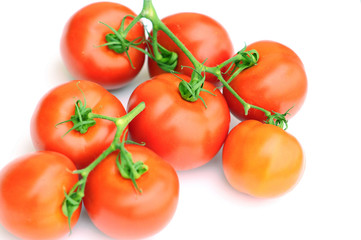 Tomato stem on white background