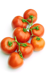 Tomatoes on white background