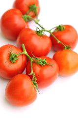Tomatoes on white background
