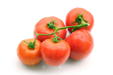 Tomatoes on white background