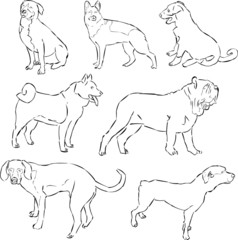 Dogs Psy