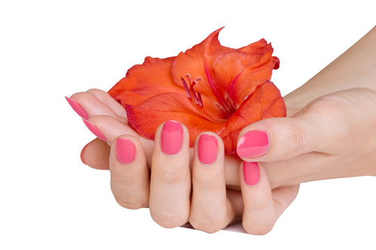 Woman hands with pink manicure holding red cornflag