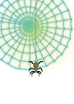Spider web