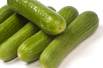 Persian mini  seedless gourmet cucumbers