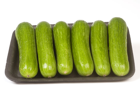 Persian mini  seedless gourmet cucumbers