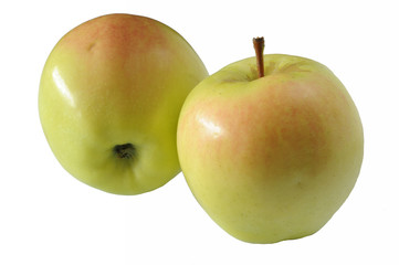 Two golden apples isolated