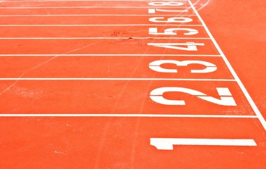 Starting Grid of Race Track in Stadium