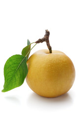 nashi pear © matin