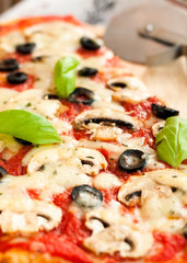 Pizza with mushrooms and cheese