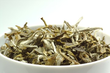 Snow Bud Grüntee in Teeschale