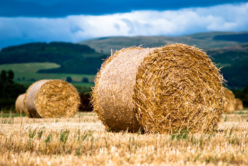 Heuballen auf Feld vor Himmel V1