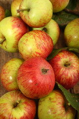 Äpfel