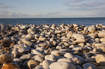 Rocky Shore