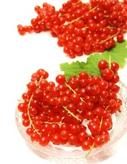 rote Johannisbeeren