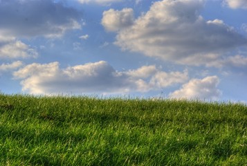 Obraz premium Grass & Cloud