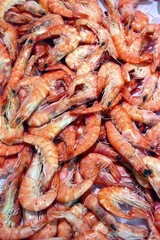 amas de crevettes fraîches