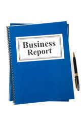 Business Report