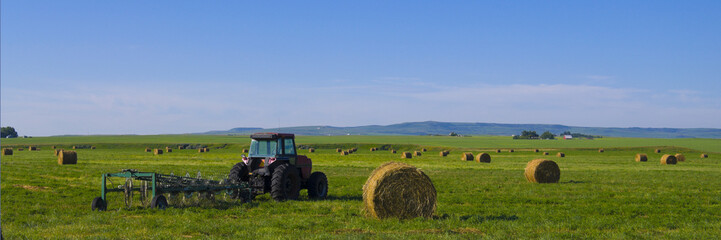 Tractor with rototiller attached in a hay field