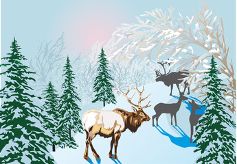 deers in winter forest