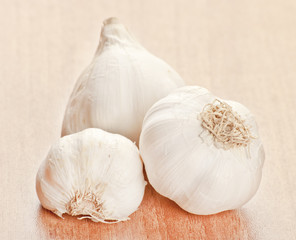 Garlic