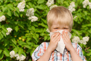 Allergy