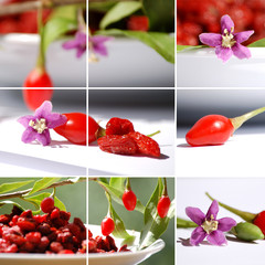 Goji Collage