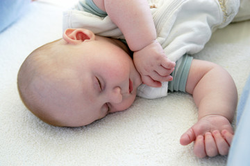 Cédric-Sieste