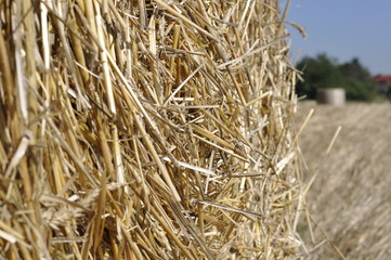 Heuballen in der Landschaft