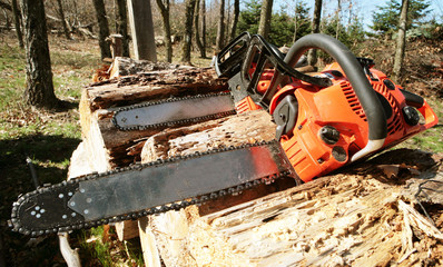 Tronçonneuses de bûcherons sur tas de bois en foret