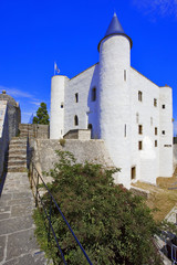 france; 85; noirmoutier : chateau