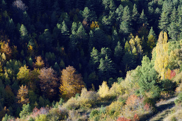 autumn in Pyrenees, Spain