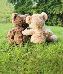 teddy bears from behind