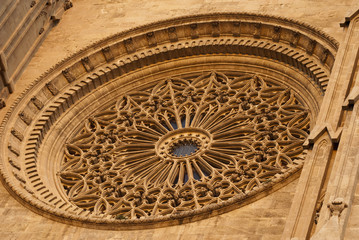 Roseton Catedral de Palma de Mallorca Baleares