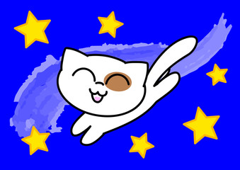 Gatto bianco nel cielo stellato