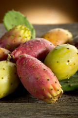 prickly pear-fico d'india