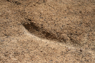 felsen