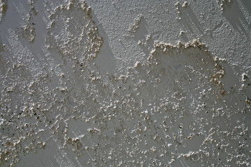 ausblühung an wand