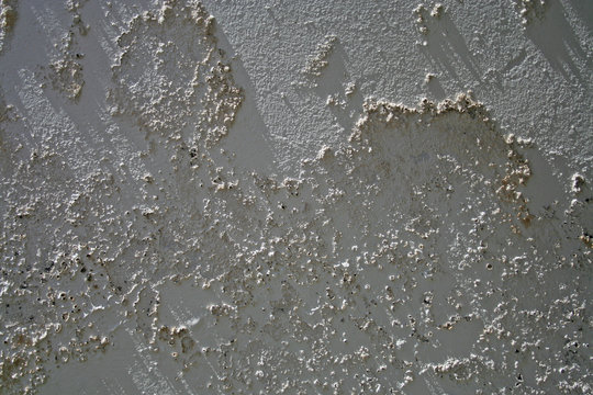 ausbl&uuml;hung an wand